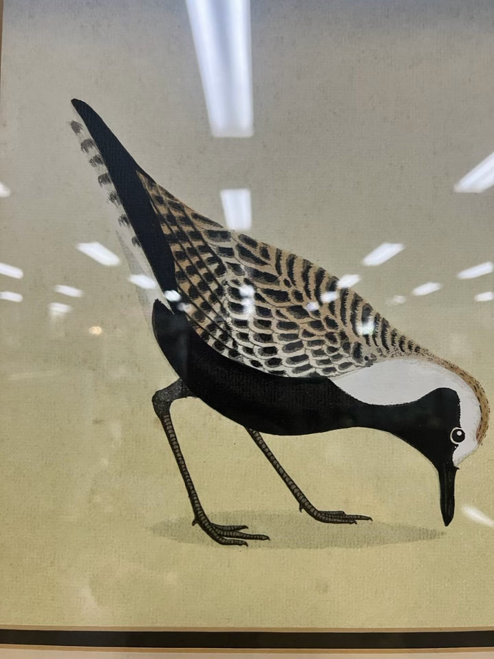 D. GROSE Hand Colored Black Bellied Plovers Lithograph in Brushed Gold Frame