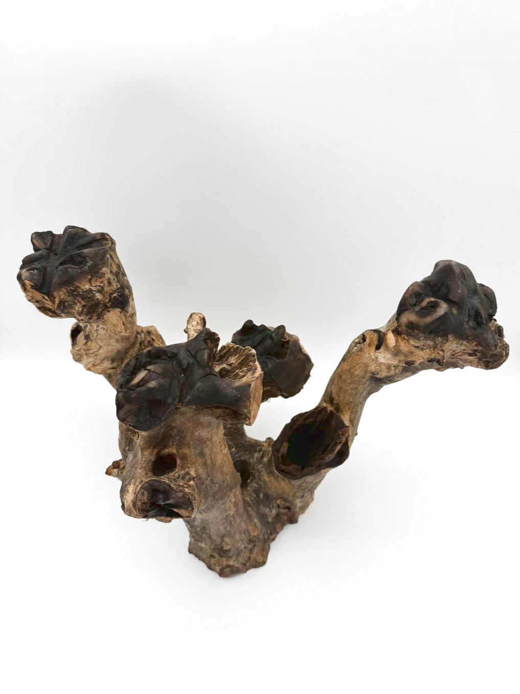 Brown Driftwood Centerpiece