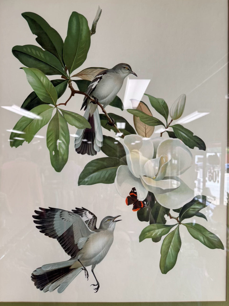 ROGER TORY PETERSON Pair of Birds Paintings in Gold & Wood Frames