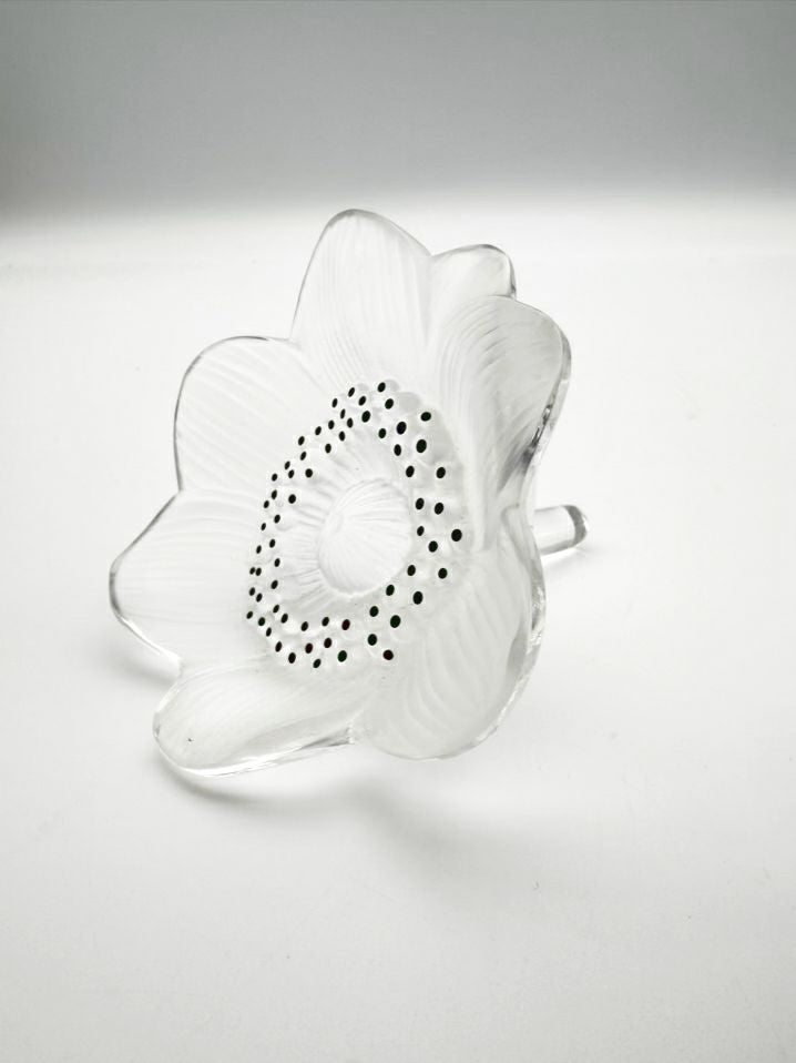 SIGNED LALIQUE Frosted Glass Anemone Object