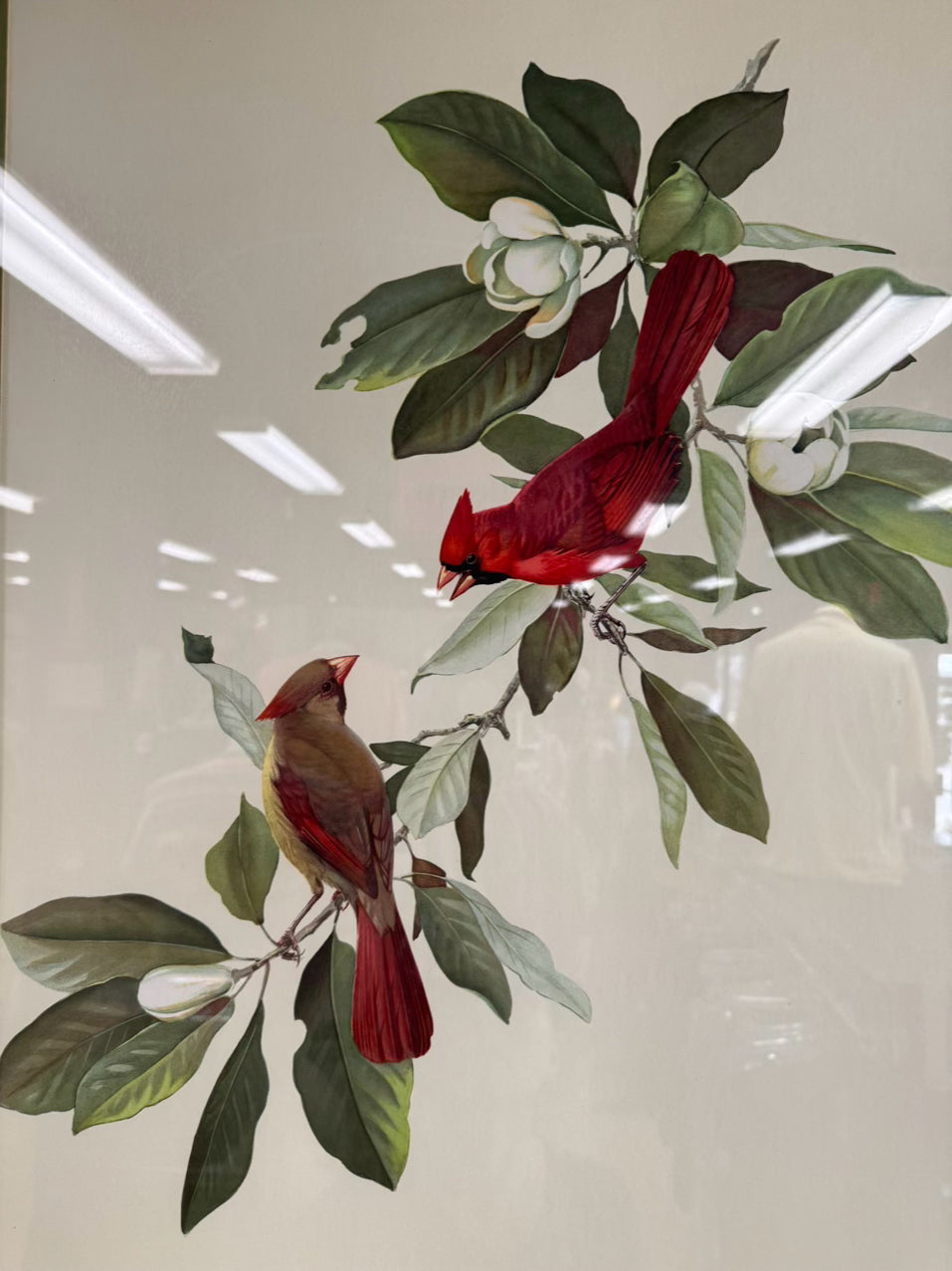 ROGER TORY PETERSON Pair of Birds Paintings in Gold & Wood Frames