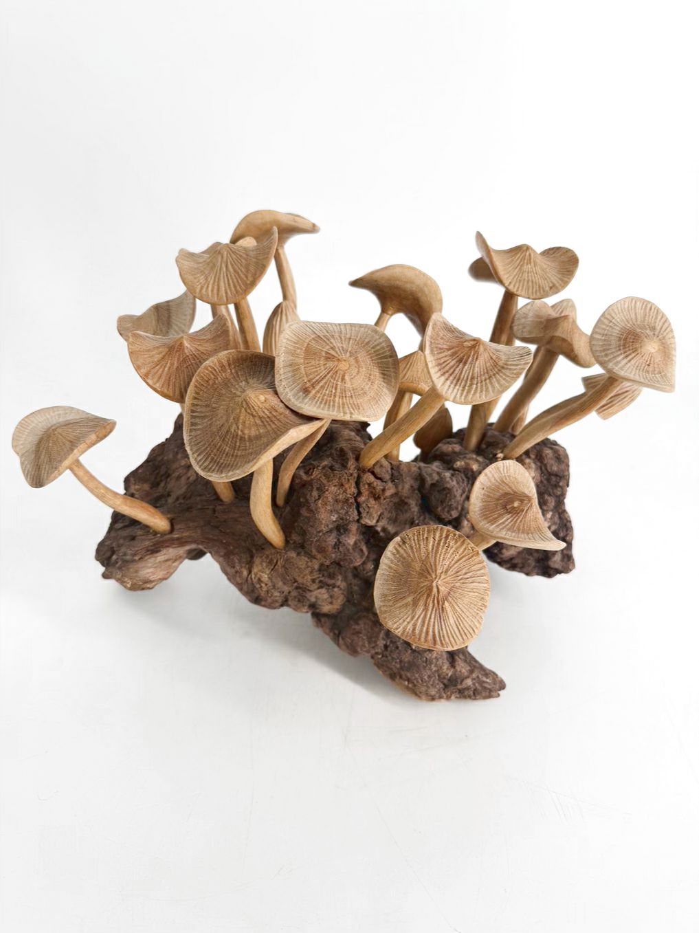 Tan & Brown Wood Carved Mushrooms On Wood Base