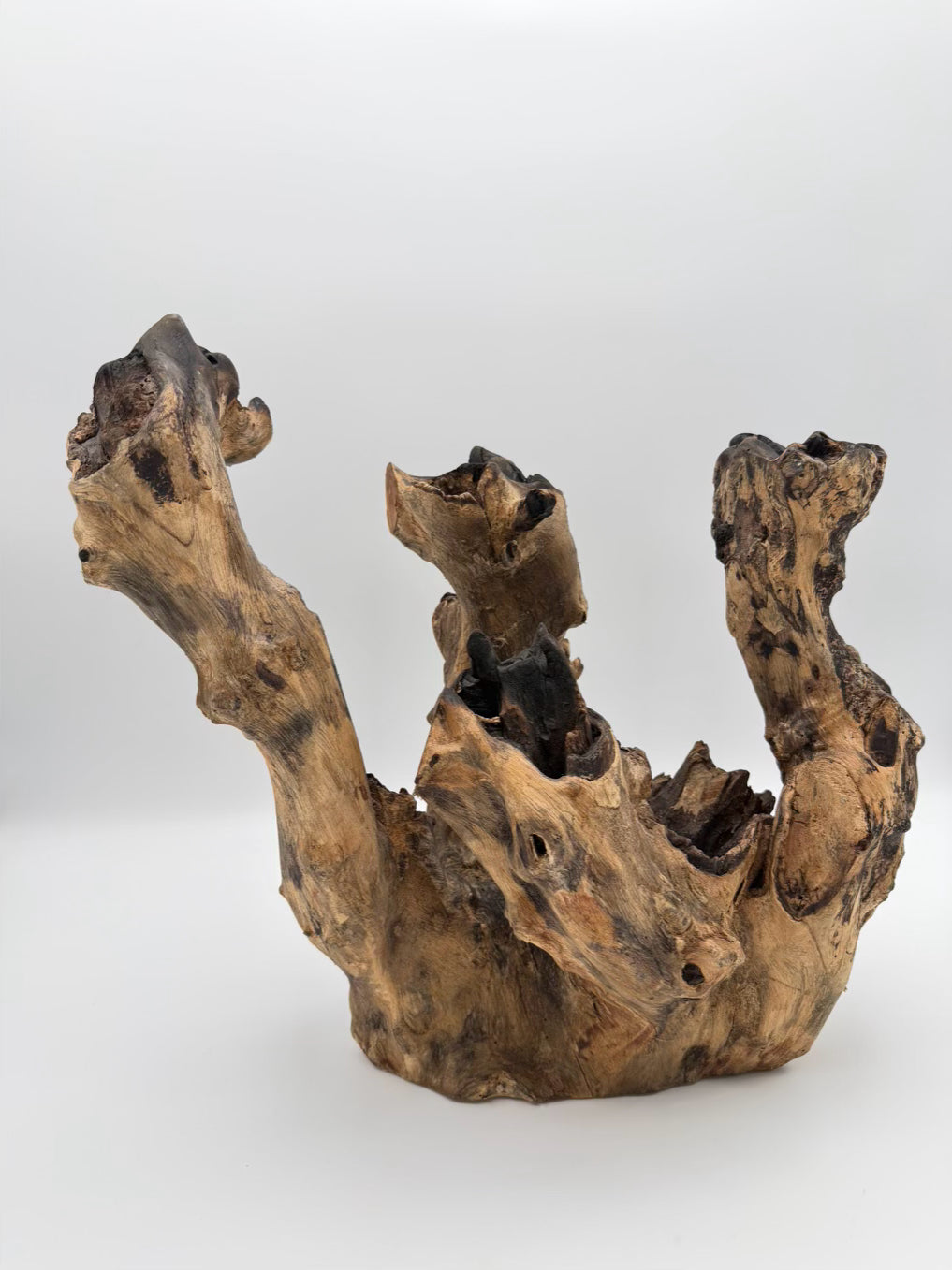 Brown Driftwood Centerpiece