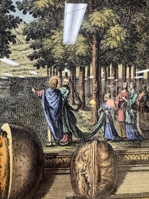 Hortus Nucum Hand-Colored Copper Plate Engraving in Gold Frame