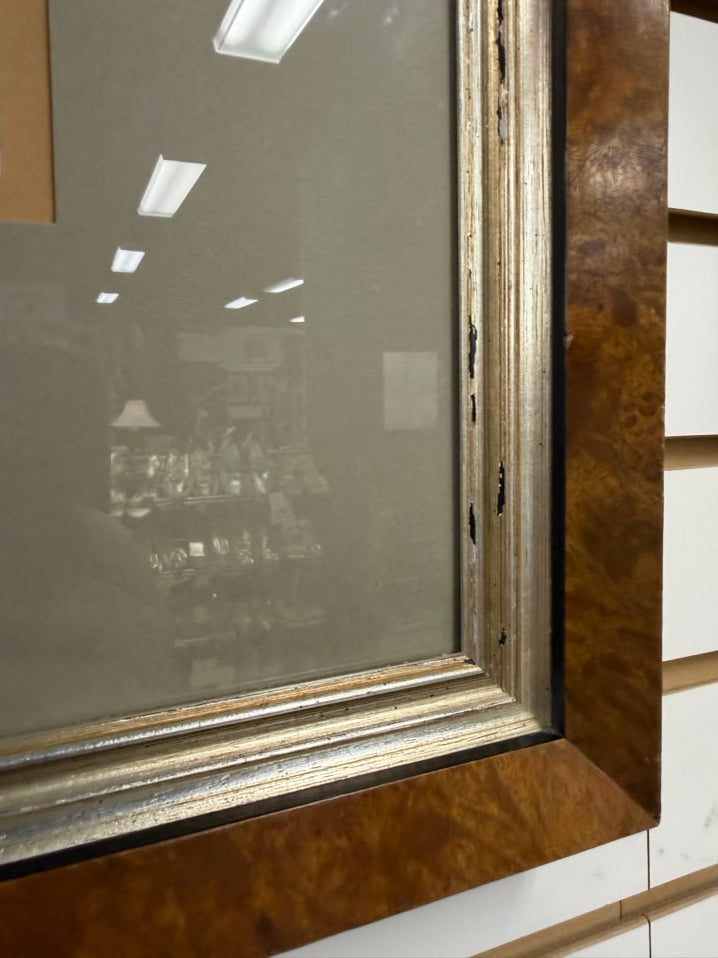 Actodromas Minuta Lithograph In Brown Frame w/ Cream Linen Mat