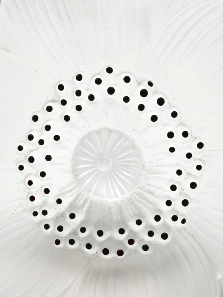 SIGNED LALIQUE Frosted Glass Anemone Object