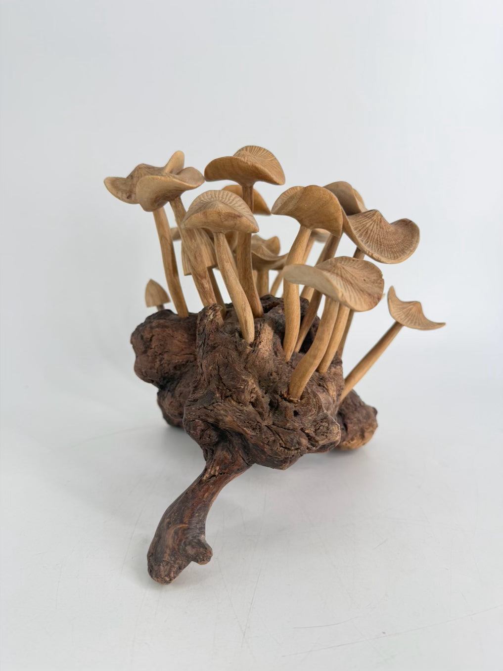 Tan & Brown Wood Carved Mushrooms On Wood Base