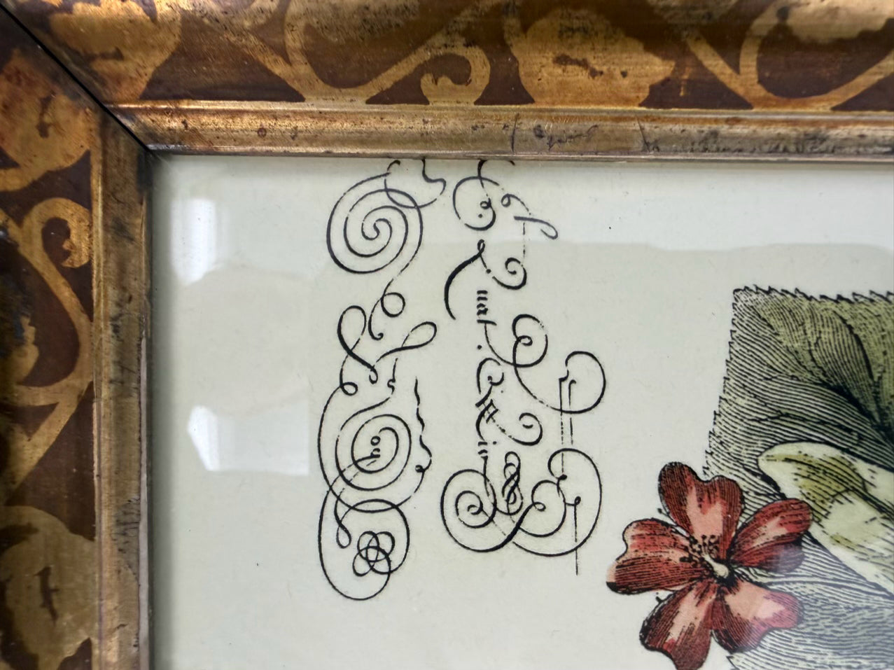 Butterfly Framed Pair Of Prints In Antique Wood Frames