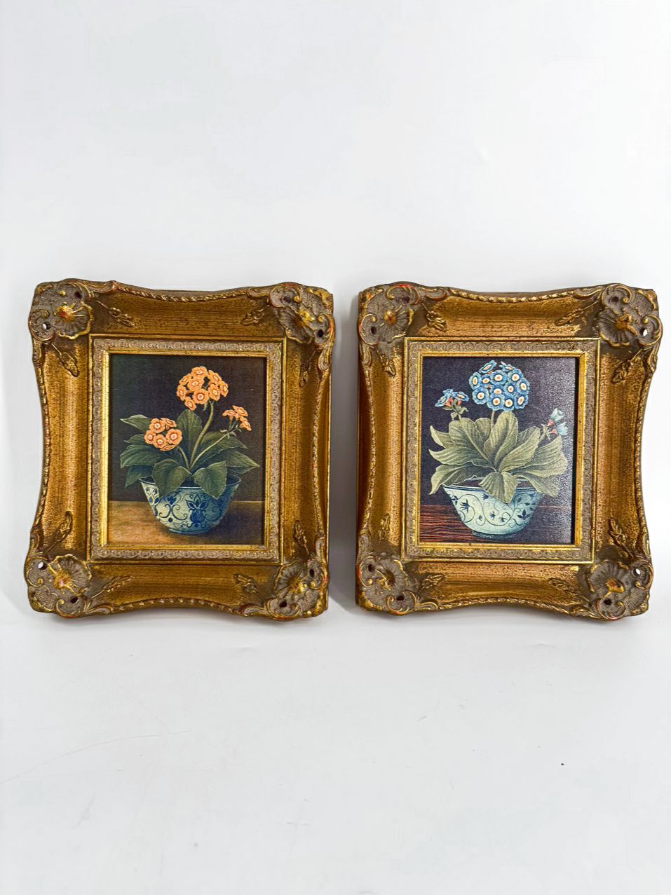 Pair of Flowers Prints in Gold Frames