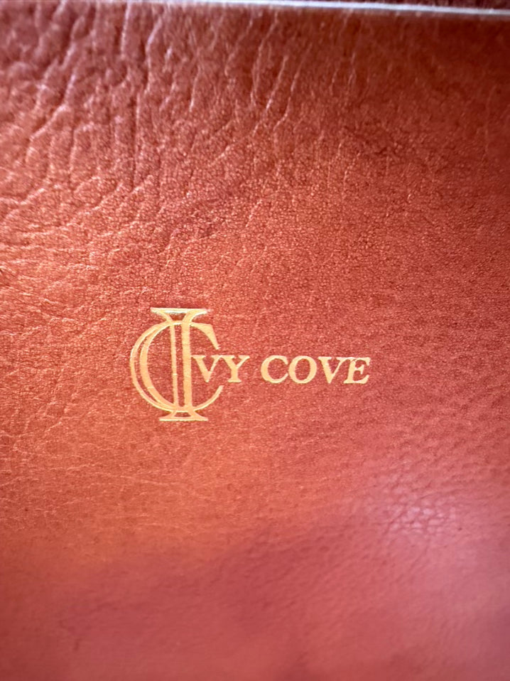 IVY COVE East West Brown & Blue Stripe Leather Tote Bag NWT