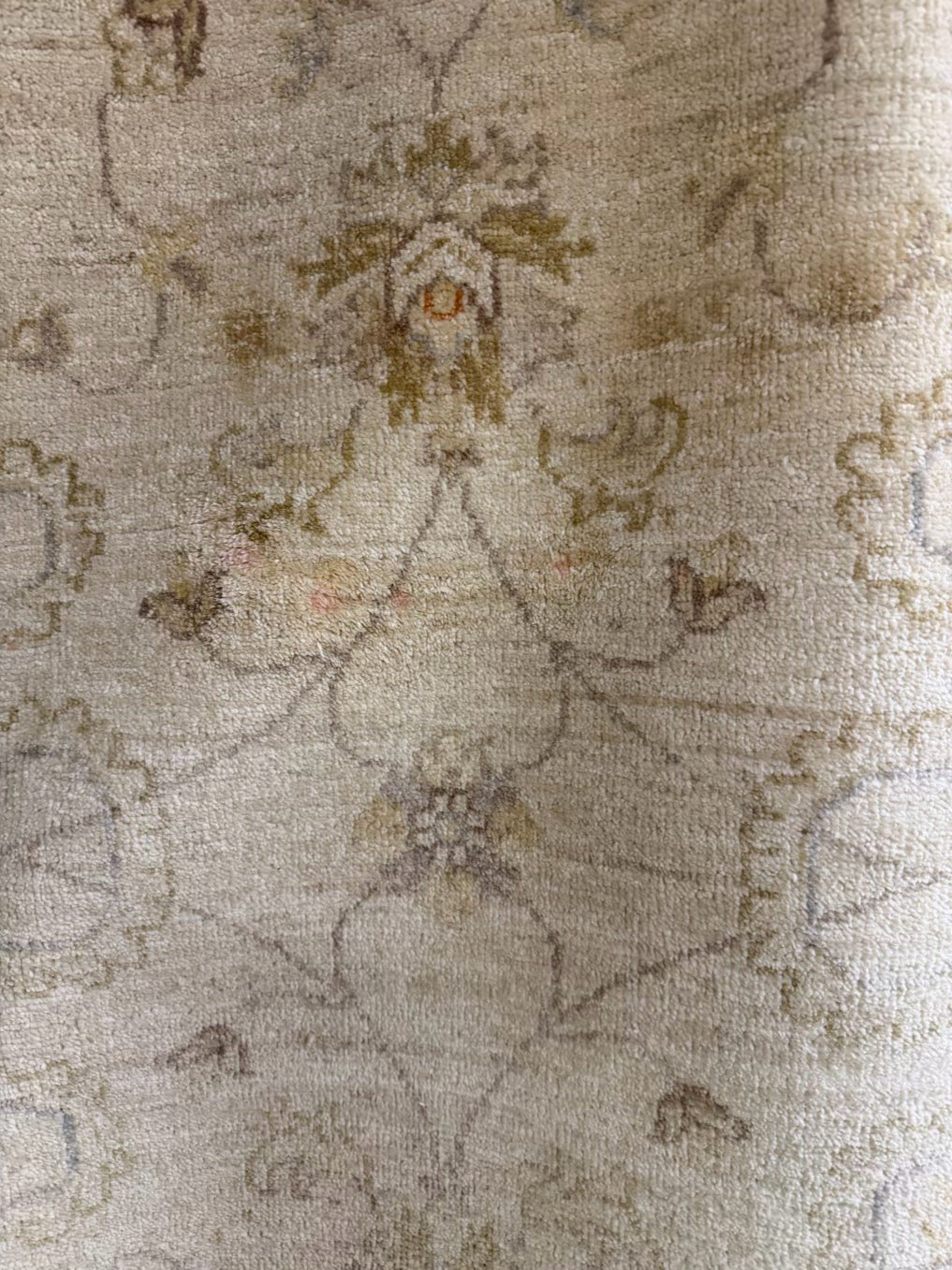PAKISTAN Cream Wool Area Rug