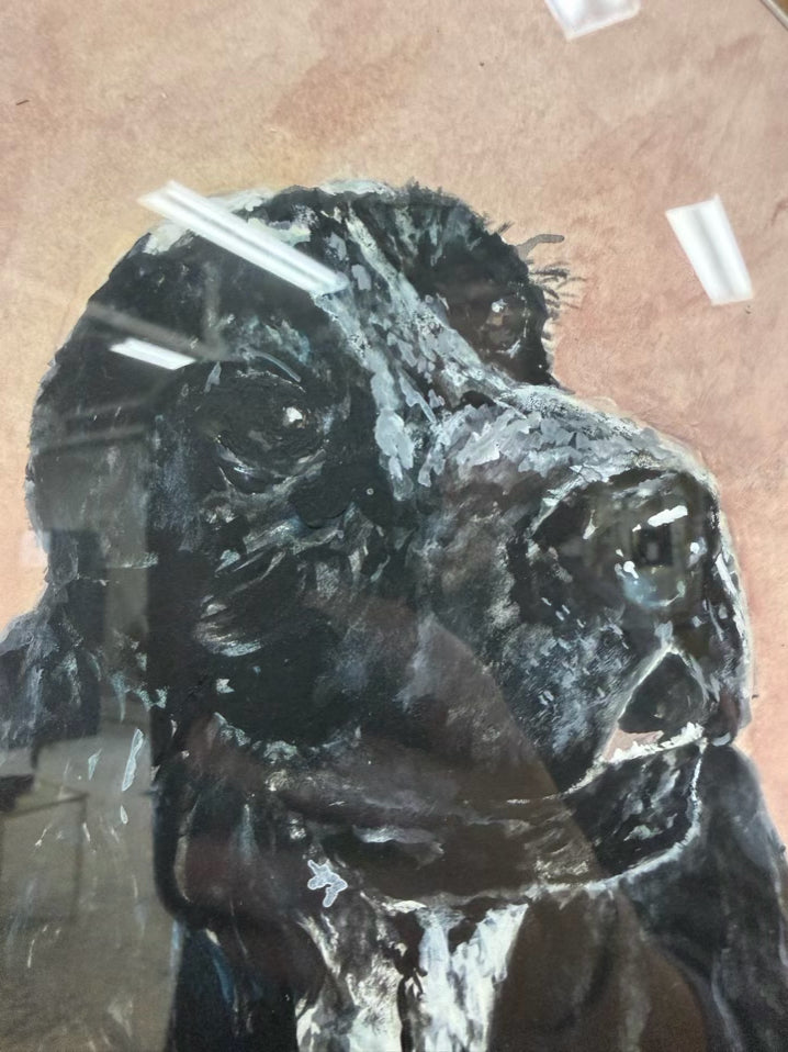 J. FRAILEY Black & White Spaniel Painting In Gold Frame