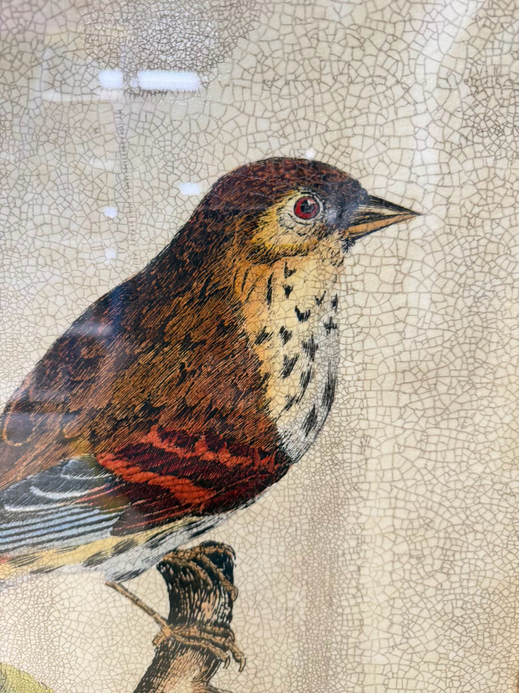 Large Bird Framed Print w/ Brick Colored Fabric Mat